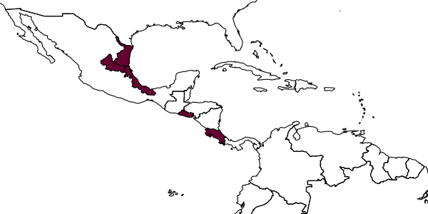 map of Nomosphecia solisi     Gauld, 1991